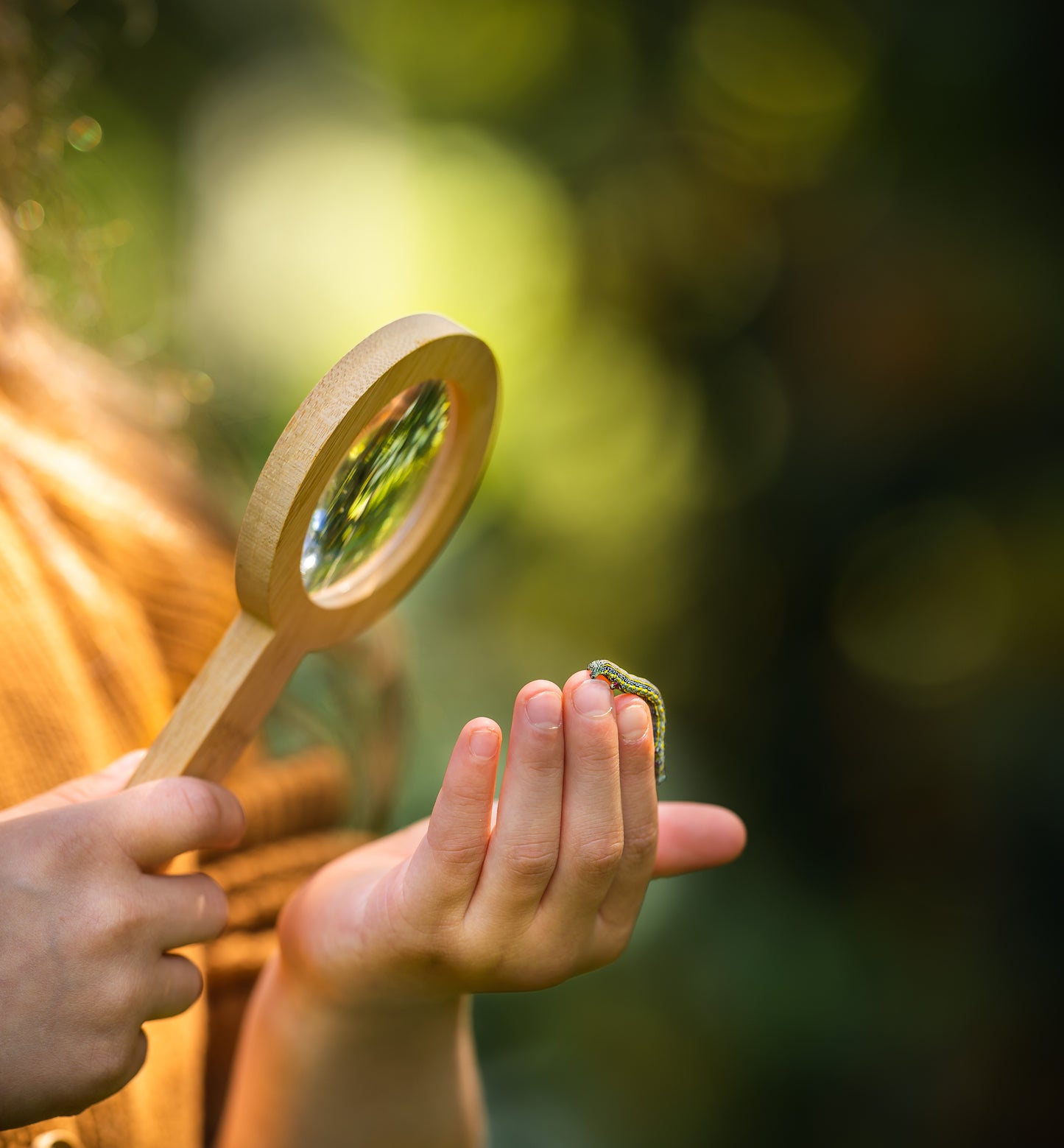 Wooden Magnifying Glass