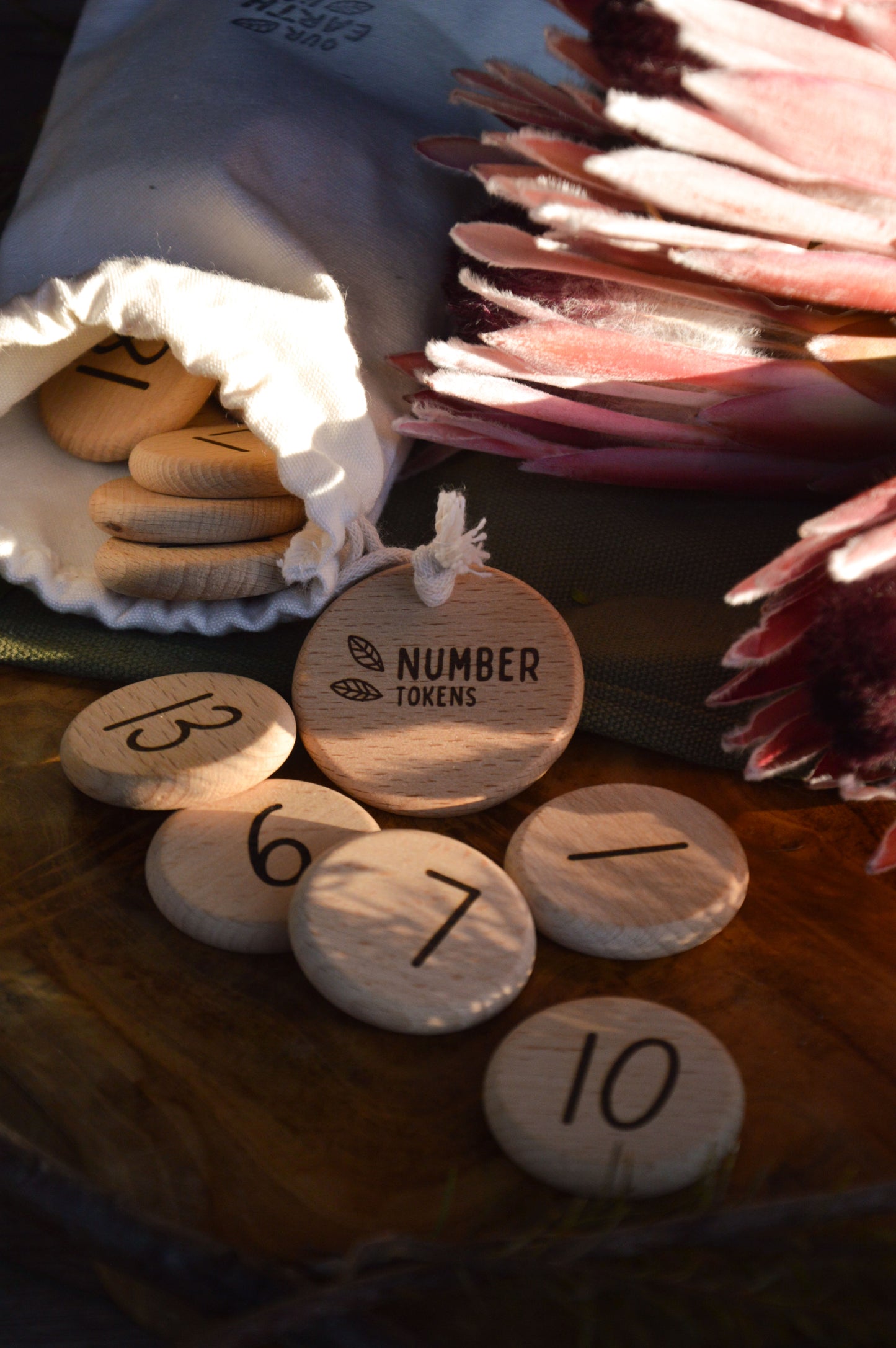 Reversible Counting Tray and Tokens