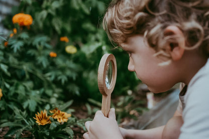 Wooden Magnifying Glass