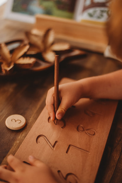 Reversible Alphabet and Number Tracing Board